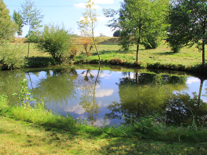 IMG_9962 - U rybníka Vidlák